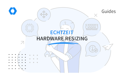 Hardware Resizing in Echtzeit